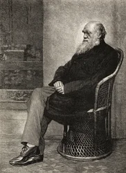 Charles Darwin, Illustration aus 